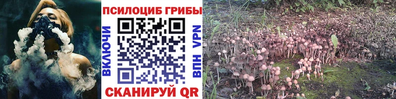 Псилоцибиновые грибы MAGIC MUSHROOMS  Купить закладки  Калининск 